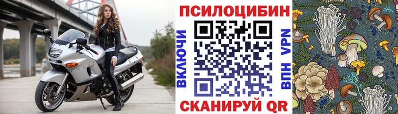 Галлюциногенные грибы Psilocybe как найти Малгобек